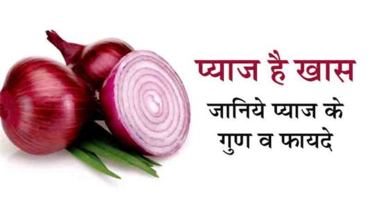 Onion Benefits In Hindi