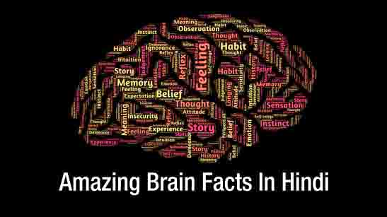 Brain Facts in Hindi
