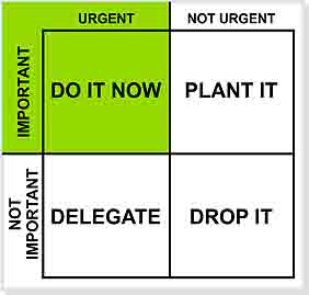 Daily Plan chart time management