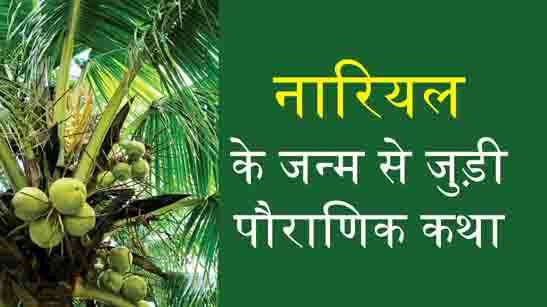 Coconuts Birth In Hindi