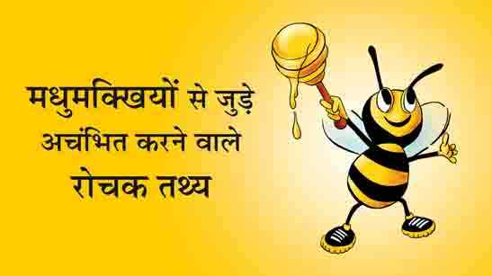मधुमक्खियों से जुड़े 22 अचंभित करने वाले रोचक तथ्य | Honey Bee Facts In  Hindi