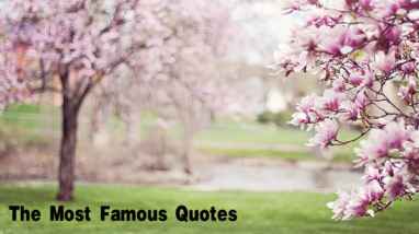 famous quotes