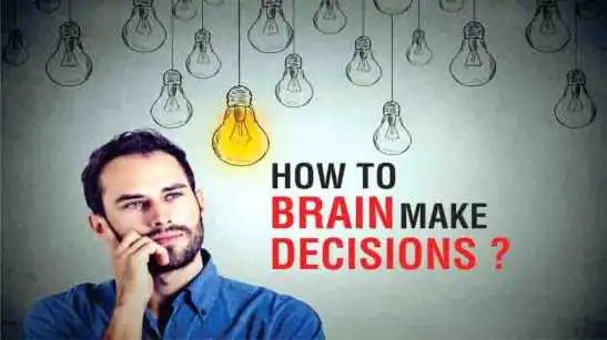 brain make decisions
